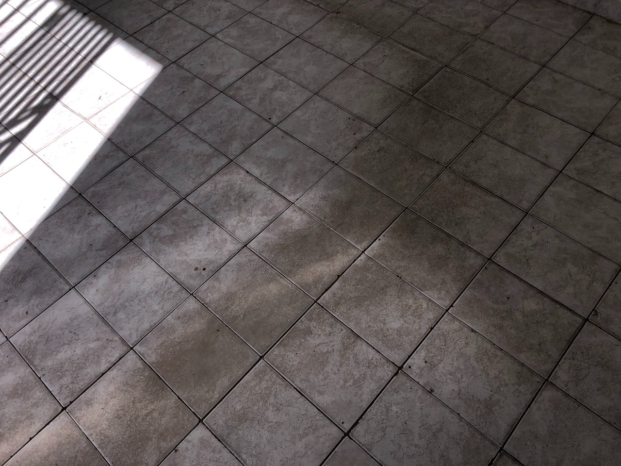 COMERCIAL para aluguel no Nossa Senhora da Abadia: 