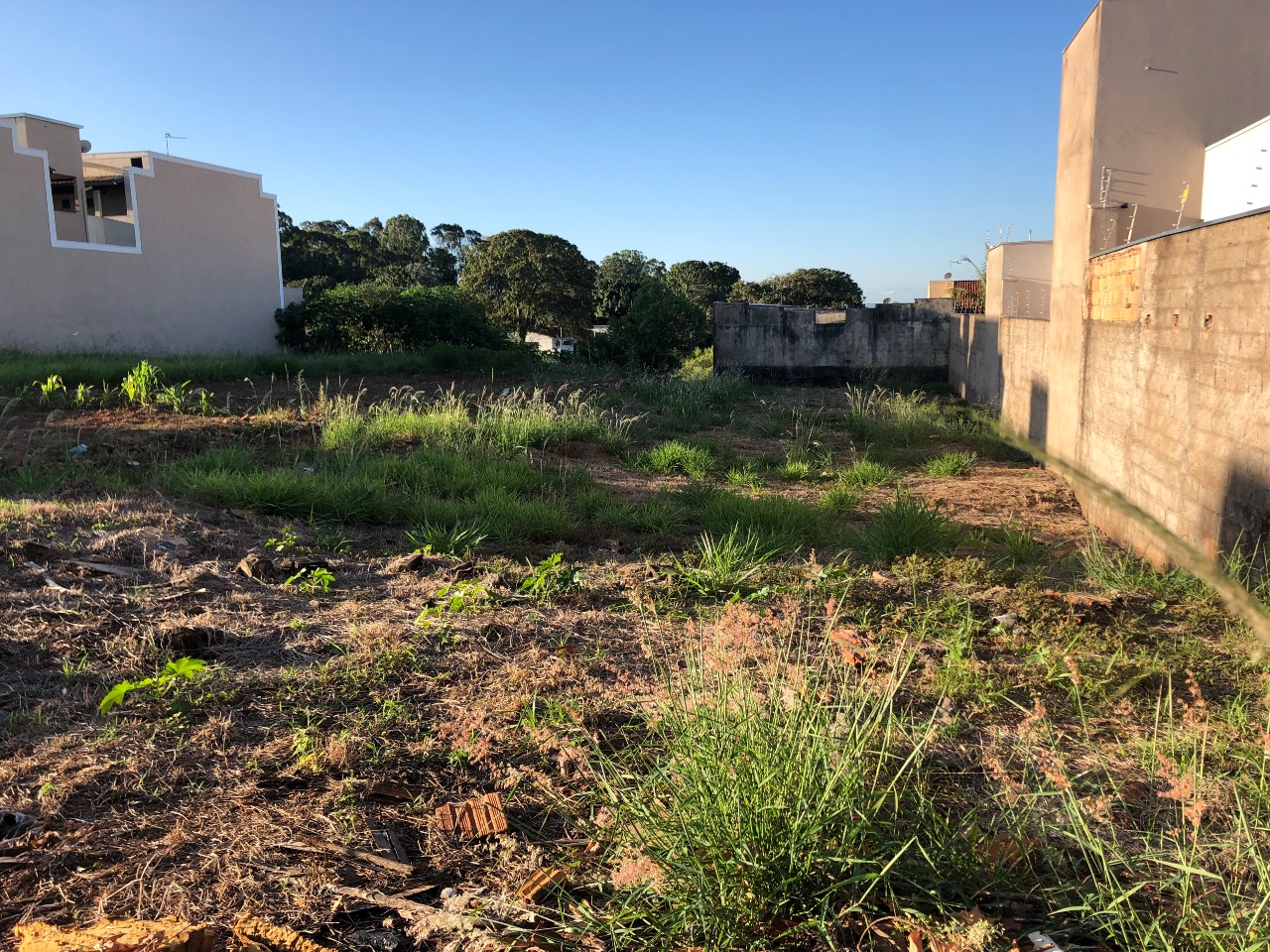 Terreno/Área para aluguel no VILA ALVORADA: 