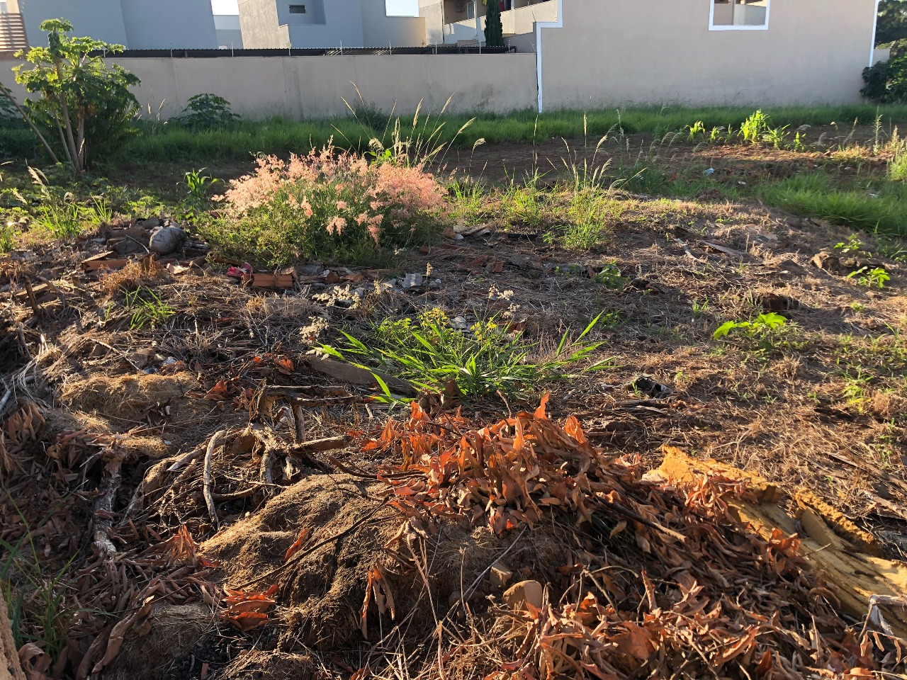 Terreno/Área para aluguel no VILA ALVORADA: 