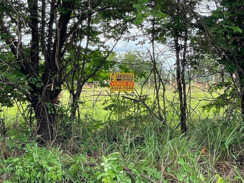 Terreno/Área para aluguel no AREA RURAL: 