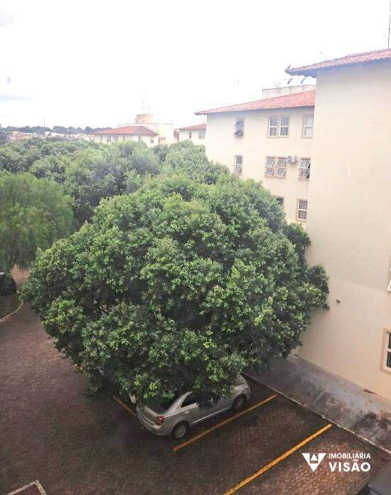 Apartamento para aluguel no Parque do Mirante: 