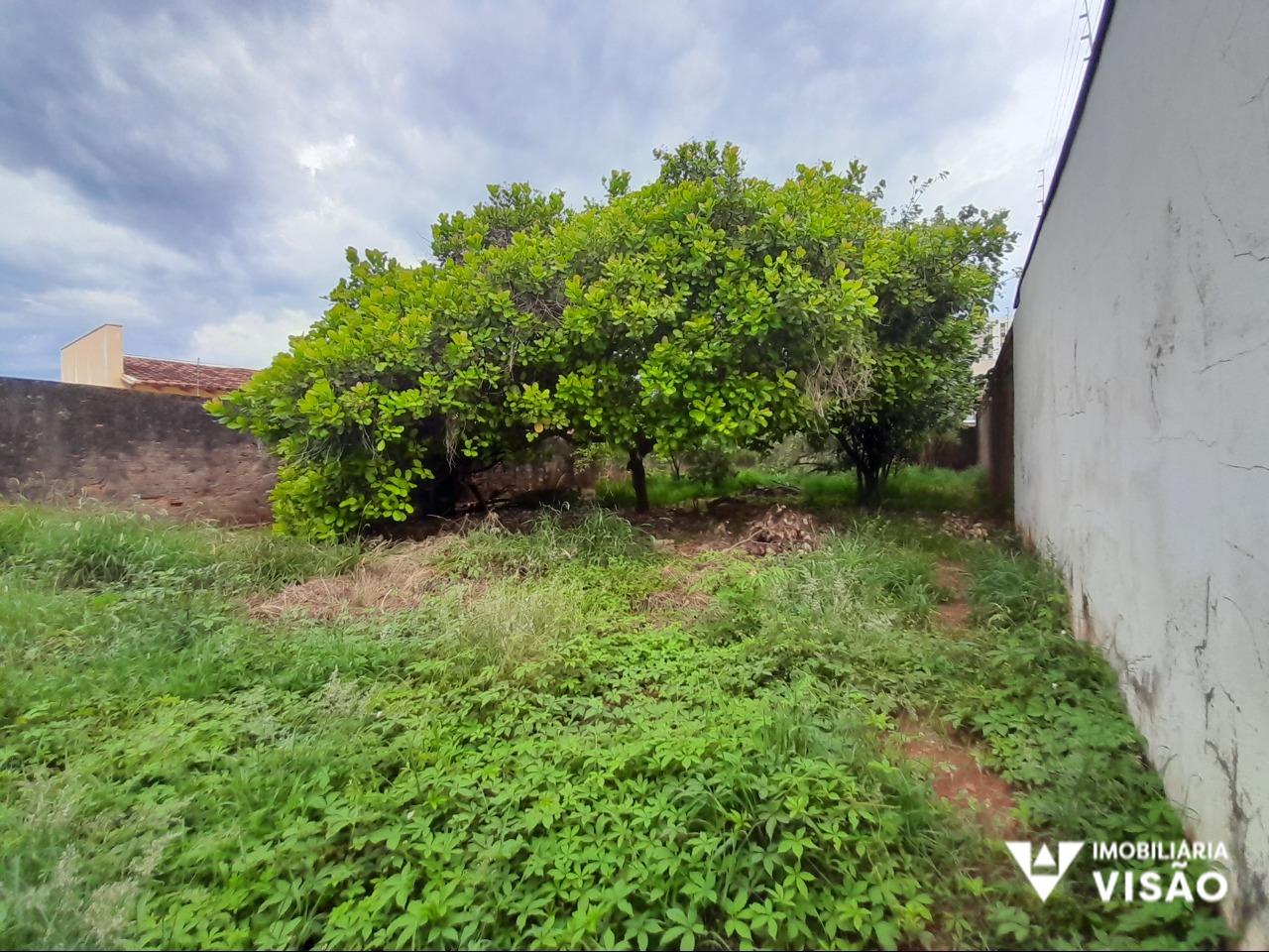 Terreno à venda no SANTA MARIA: 