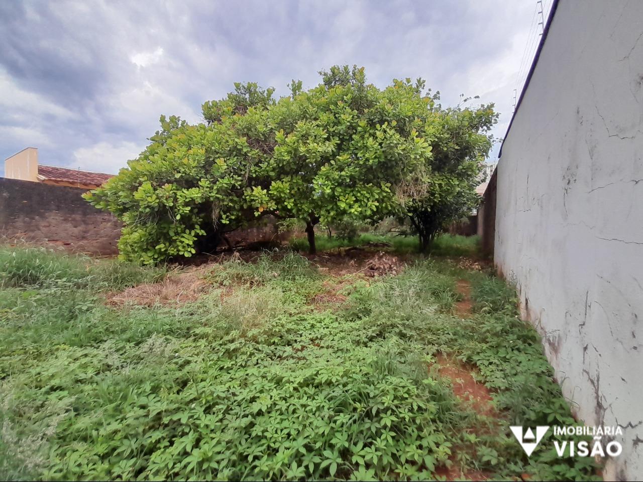 Terreno à venda no SANTA MARIA: 