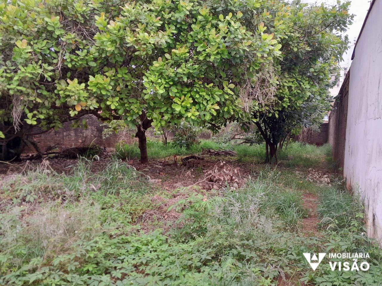 Terreno à venda no SANTA MARIA: 
