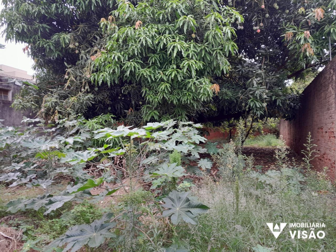 Terreno à venda no SANTA MARIA: 