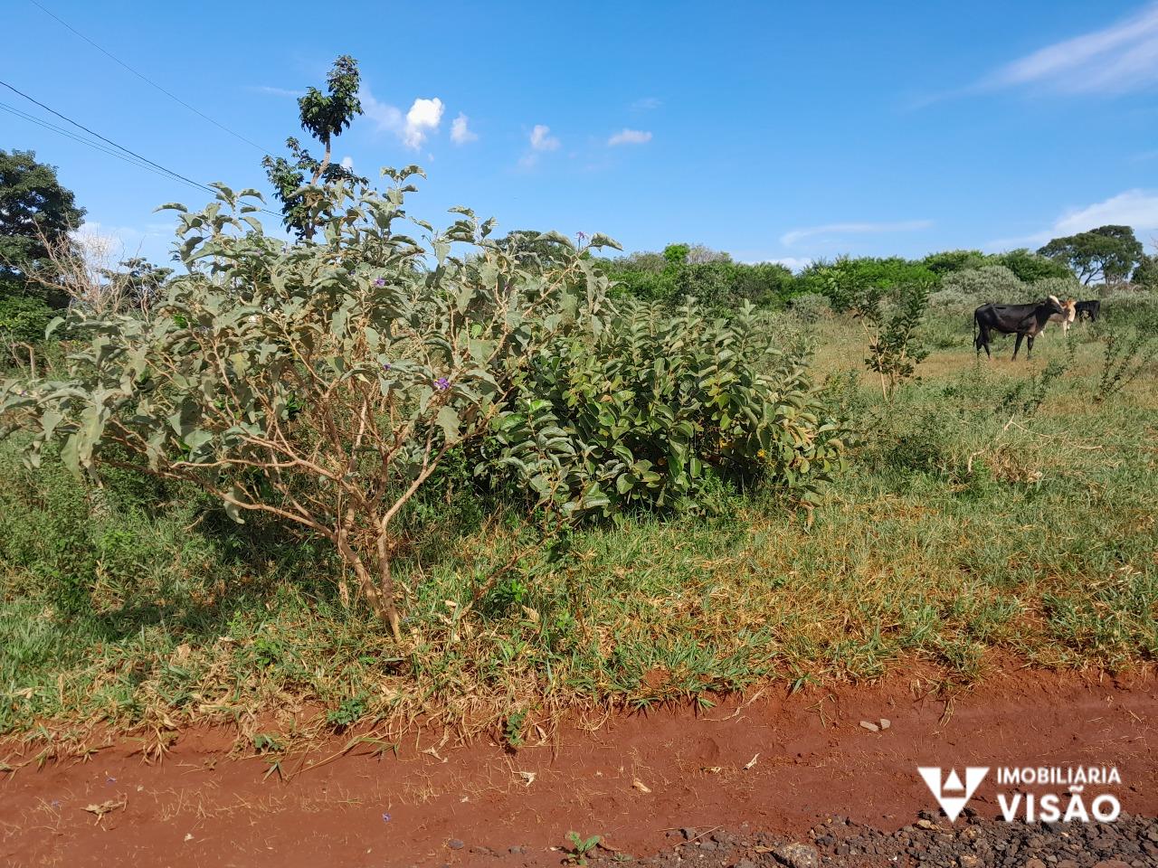 Terreno à venda no Chácaras Di Carvalho: 