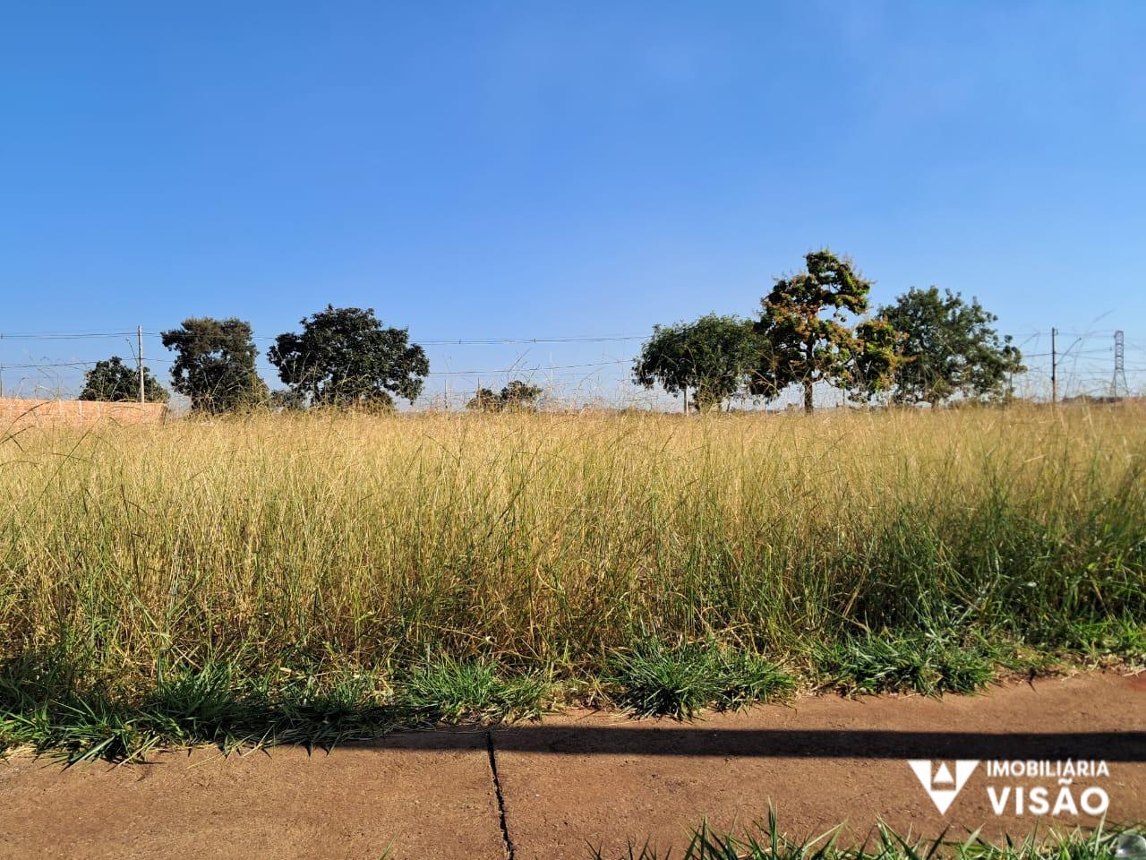 Terreno à venda no Loteamento Jardim Ipiranga: 