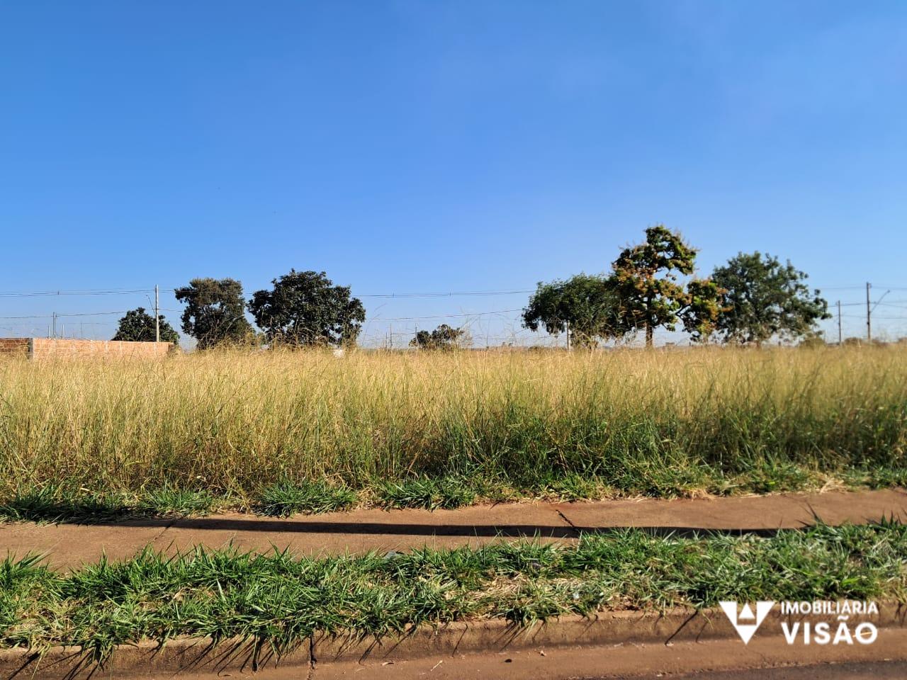 Terreno à venda no Loteamento Jardim Ipiranga: 
