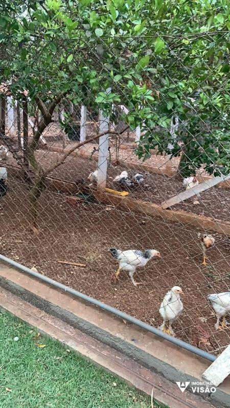 Rancho à venda no Zona Rural: 