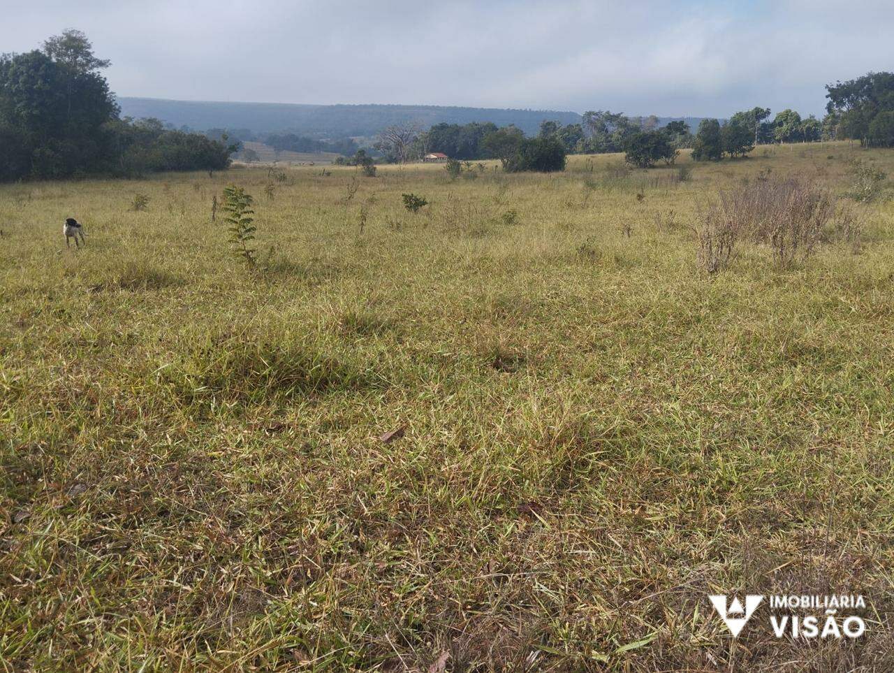 Fazenda à venda no ZONA RURAL: 