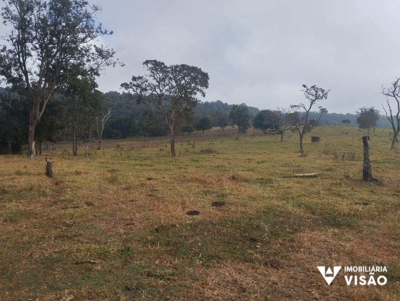 Fazenda à venda no ZONA RURAL: 