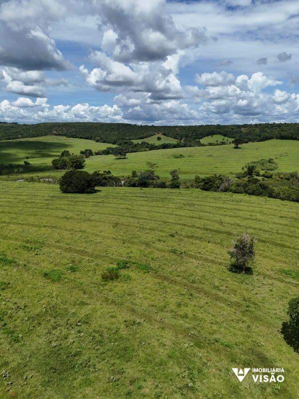 Fazenda à venda no ZONA RURAL: 