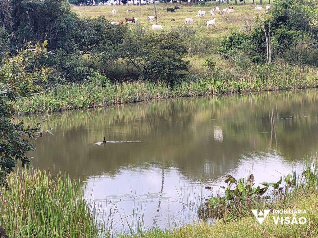 Fazenda à venda no ZONA RURAL: 