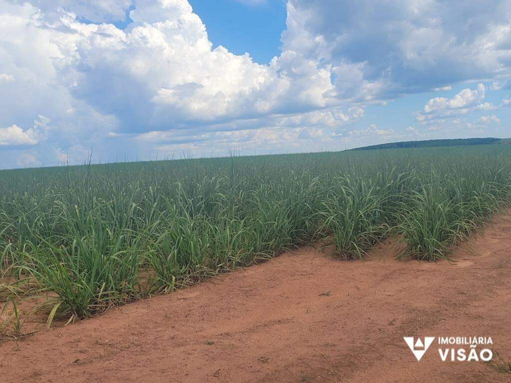 Fazenda à venda no ZONA RURAL: 