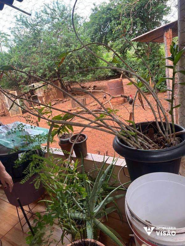 Casa à venda no Núcleo Habitacional Silvério Cartafina: 