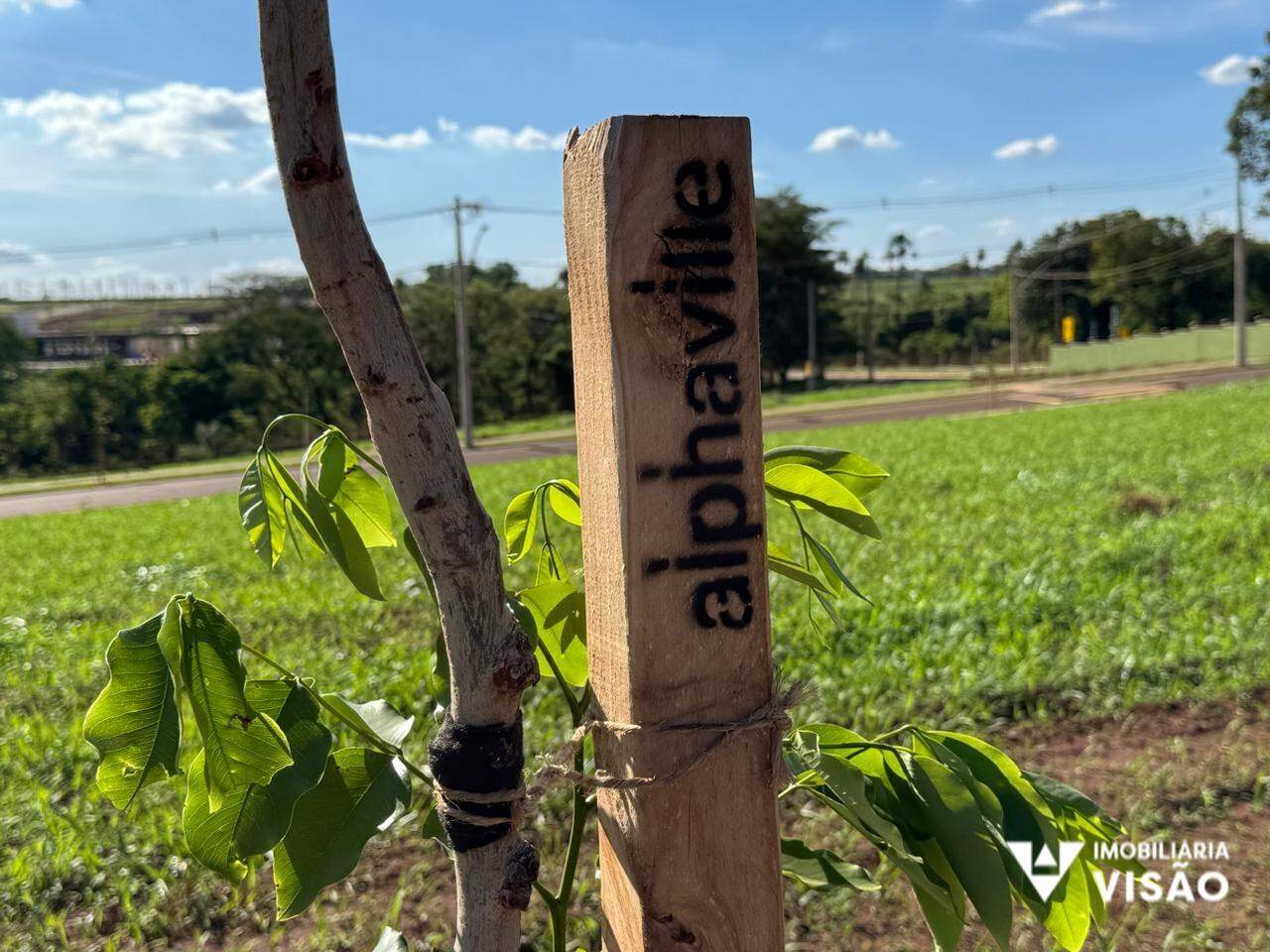 Terreno à venda no ALPHAVILLE - TERRAS ALPHA: 