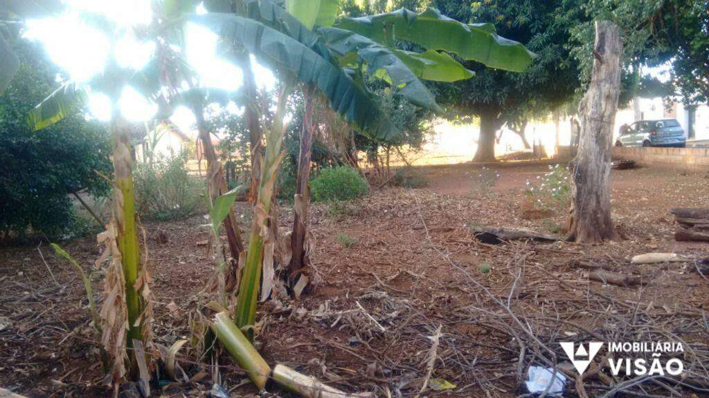 Terreno à venda no São José: 