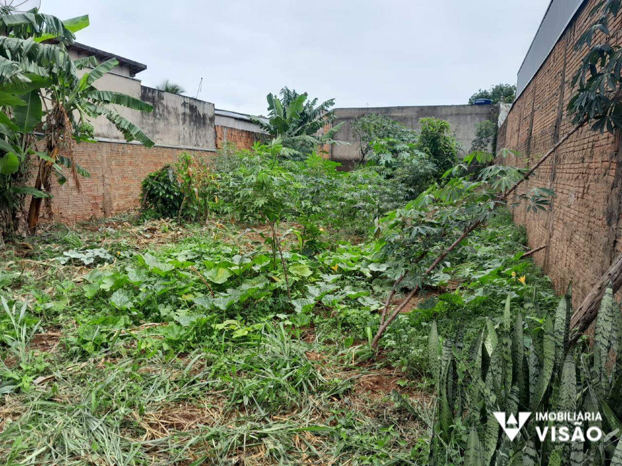 Terreno à venda no Jardim Maracanã: 