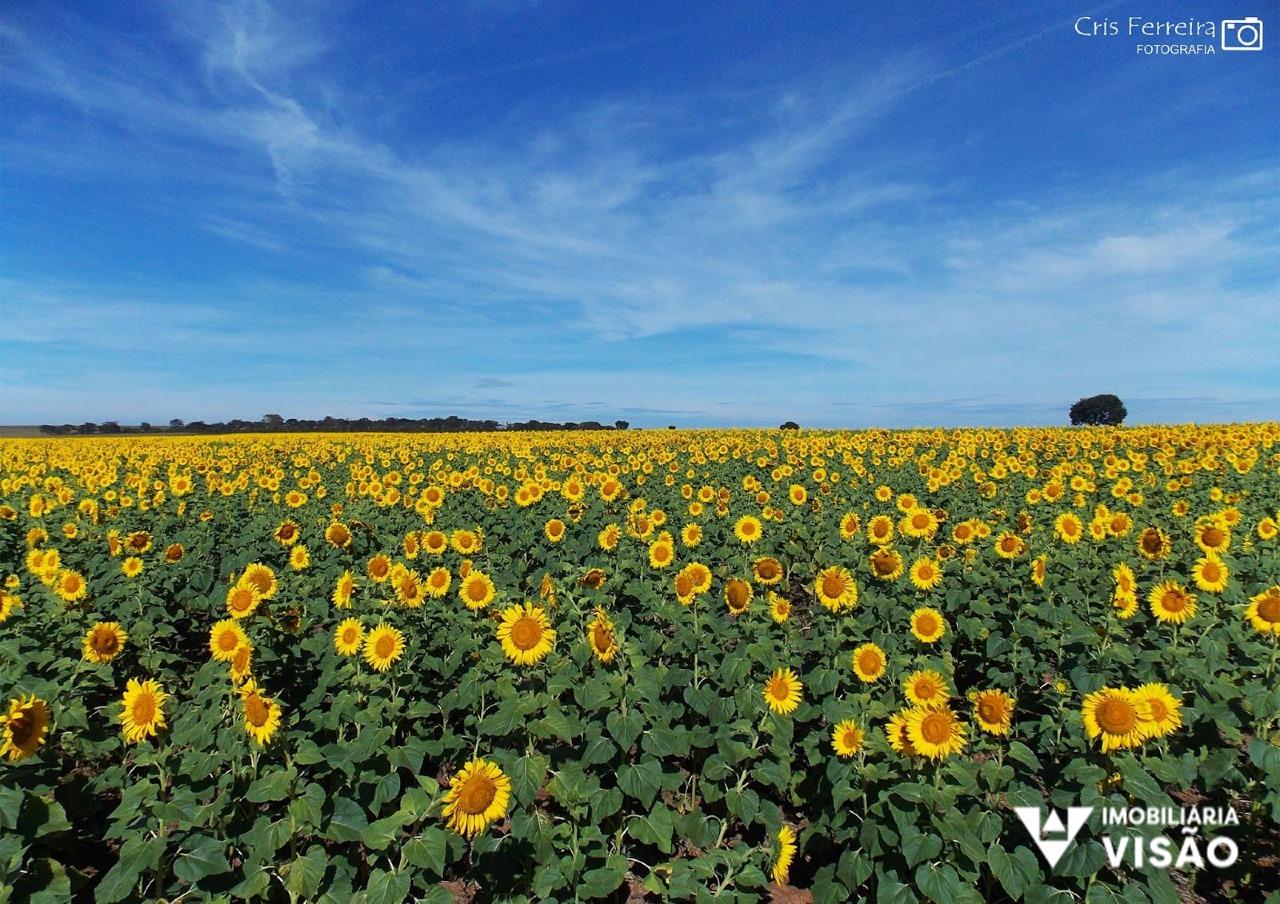 Terreno à venda no Residencial Parque dos Girassois I: 