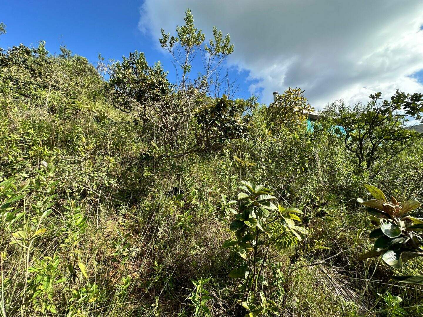 Terreno à venda no Vale dos Cristais: 