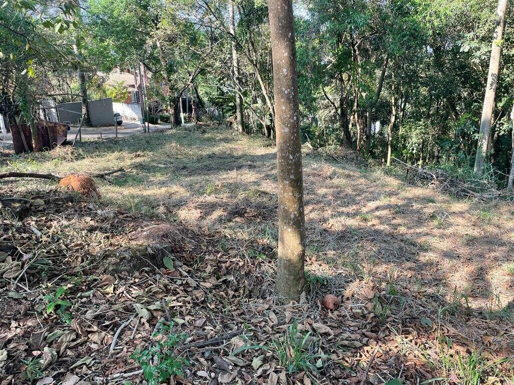 Terreno à venda no Bosque Residencial do Jambreiro: 