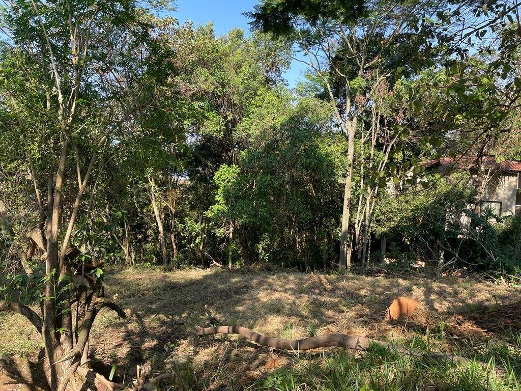 Terreno à venda no Bosque Residencial do Jambreiro: 