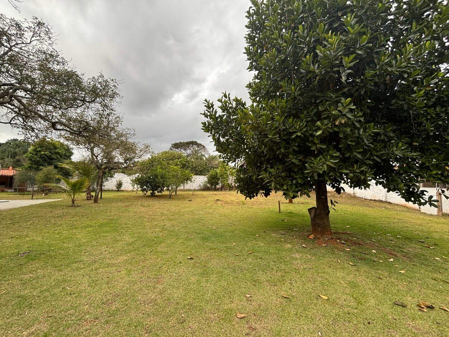 Terreno à venda no Vila Castelo: 