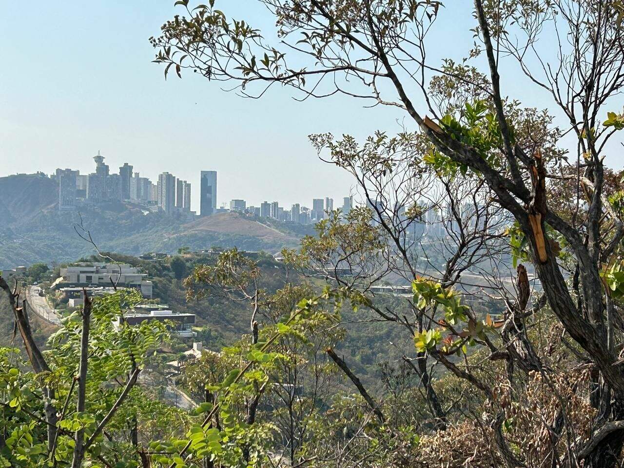 Terreno à venda no Vila Castelo: 