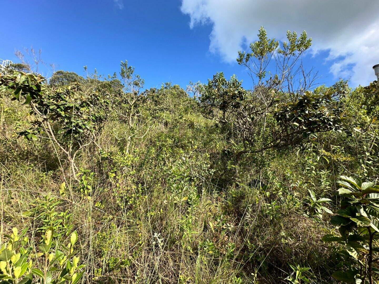 Terreno à venda no Vale dos Cristais: 