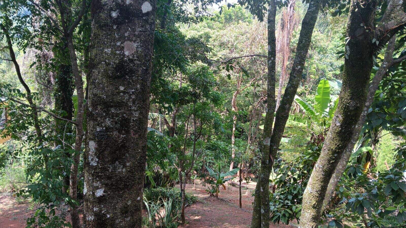 Terreno à venda no Bosque da Ribeira: 