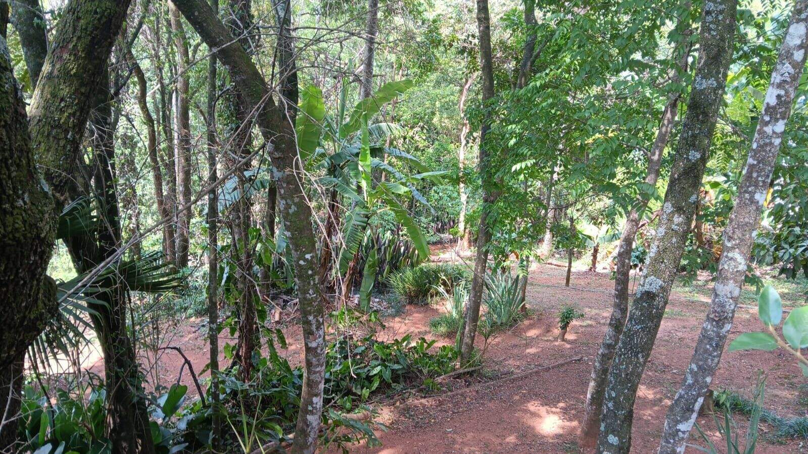 Terreno à venda no Bosque da Ribeira: 