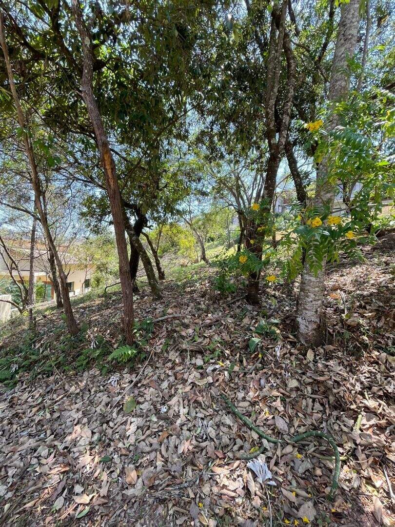 Terreno à venda no Vila Alpina: 