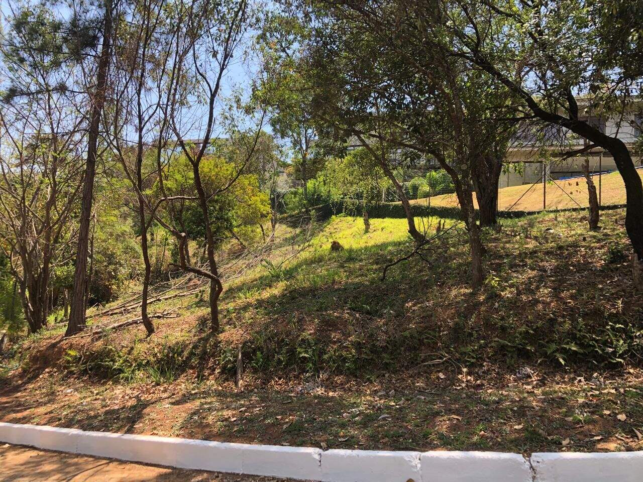 Terreno à venda no Vila Alpina: 