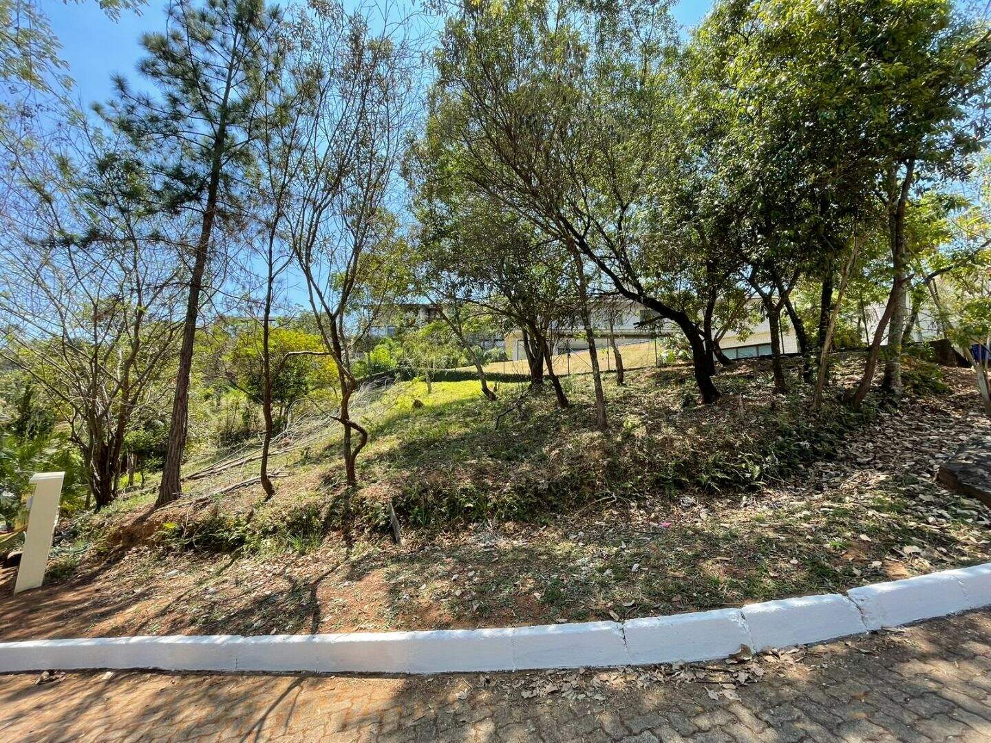 Terreno à venda no Vila Alpina: 