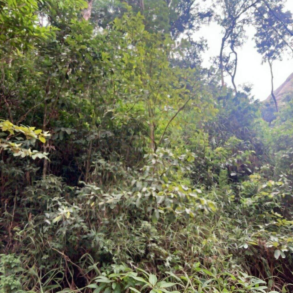 Terreno à venda no Retiro Do Chalé: 