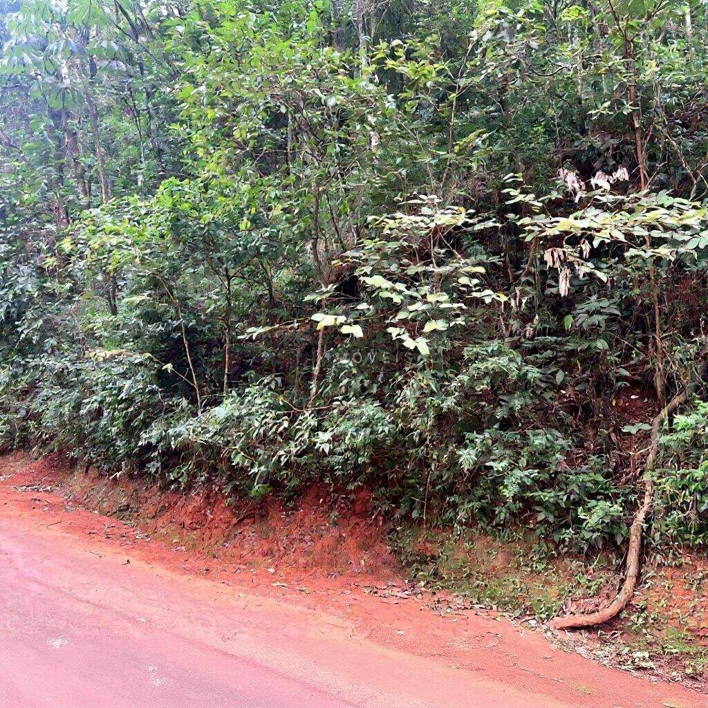 Terreno à venda no Retiro Do Chalé: 