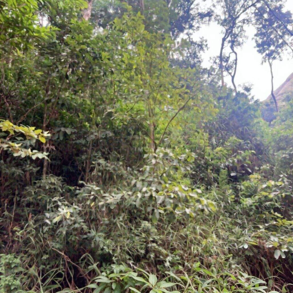 Terreno à venda no Retiro Do Chalé: 