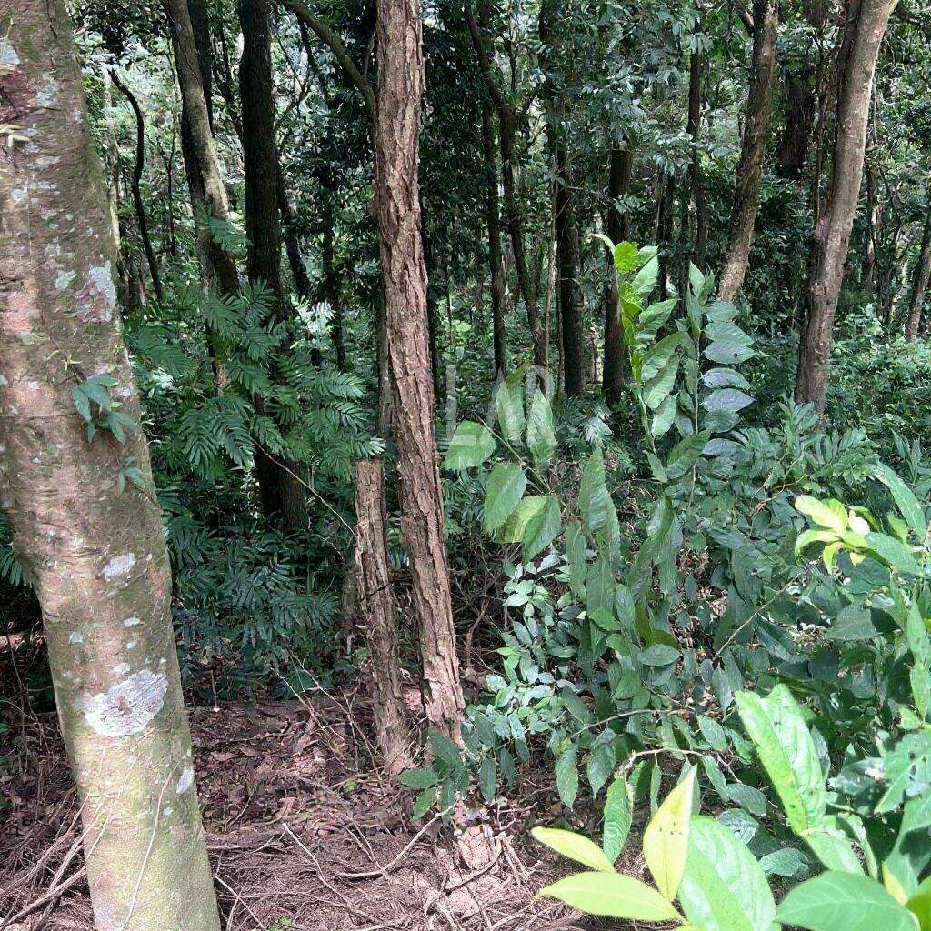 Terreno à venda no Retiro Do Chalé: 