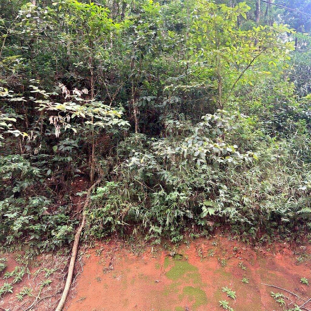 Terreno à venda no Condomínio Retiro do Chalé: 