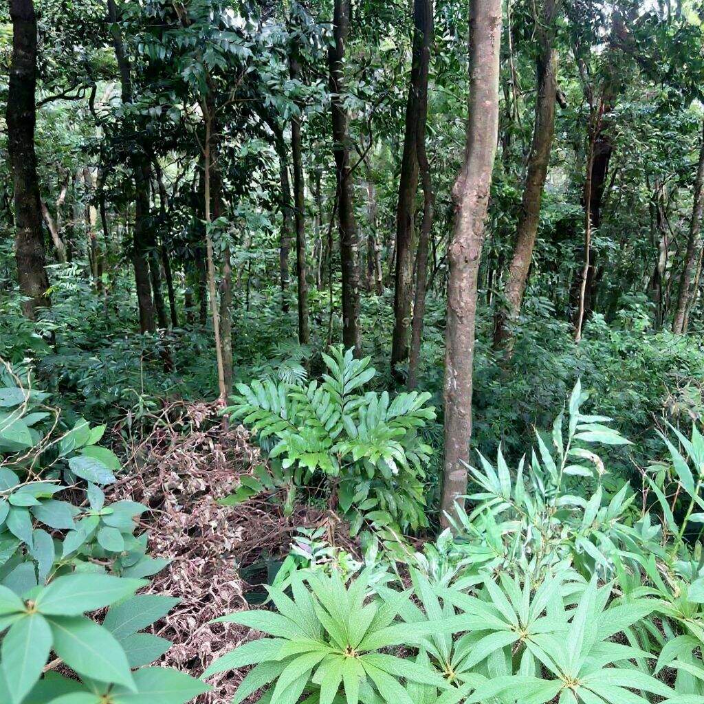 Terreno à venda no Condomínio Retiro do Chalé: 
