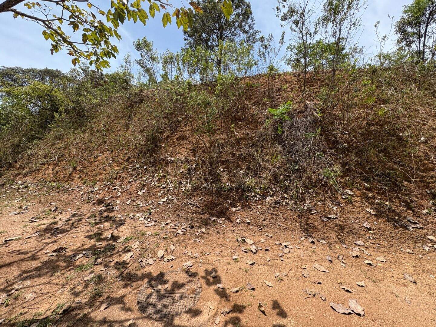 Terreno à venda no A Definir Em Campo: 