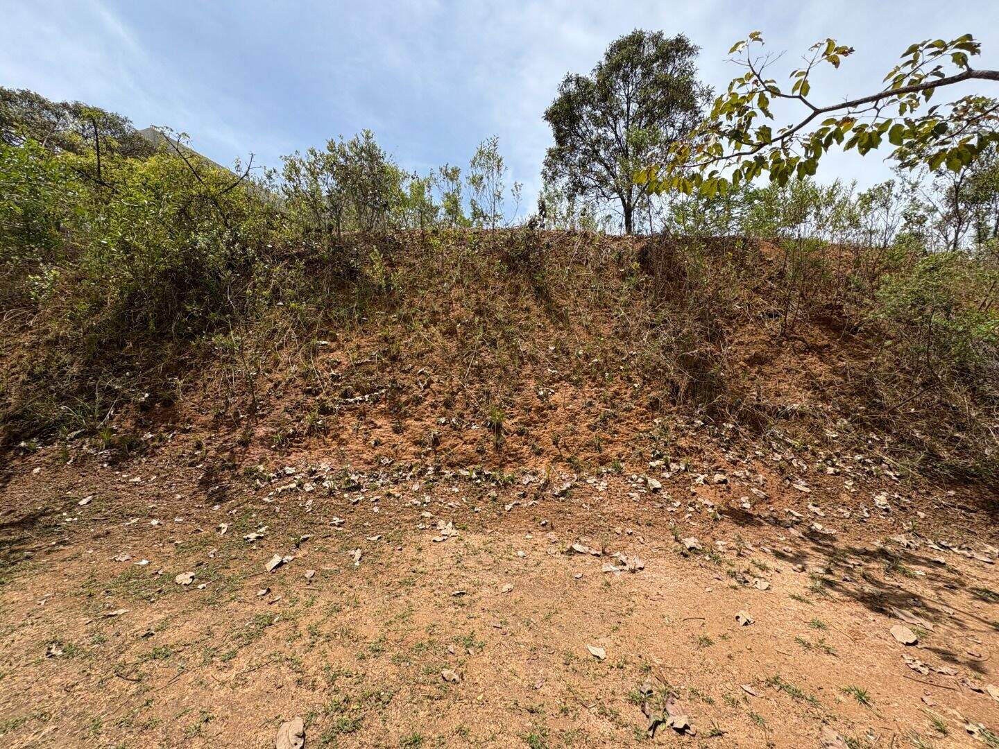 Terreno à venda no A Definir Em Campo: 