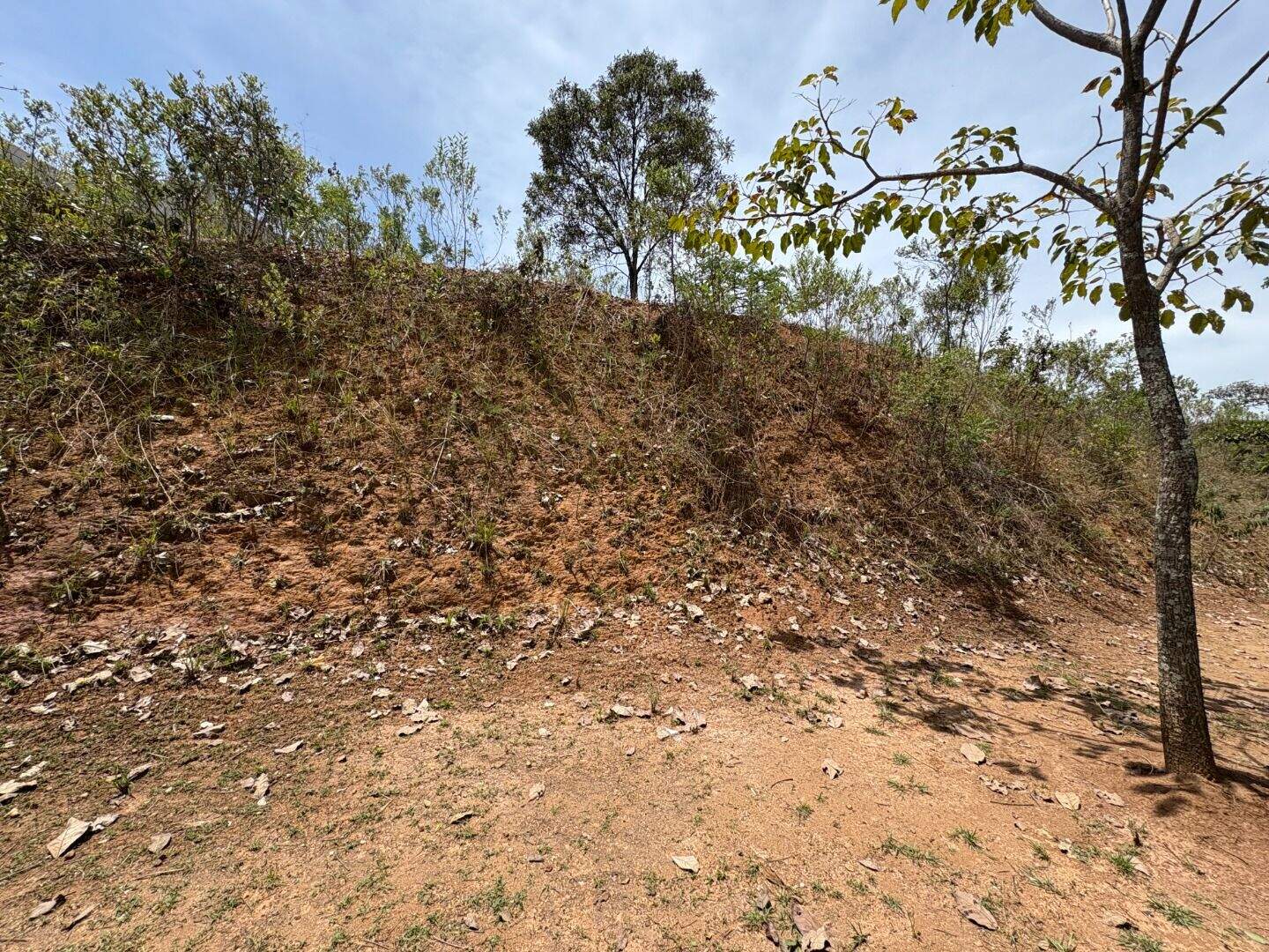 Terreno à venda no A Definir Em Campo: 