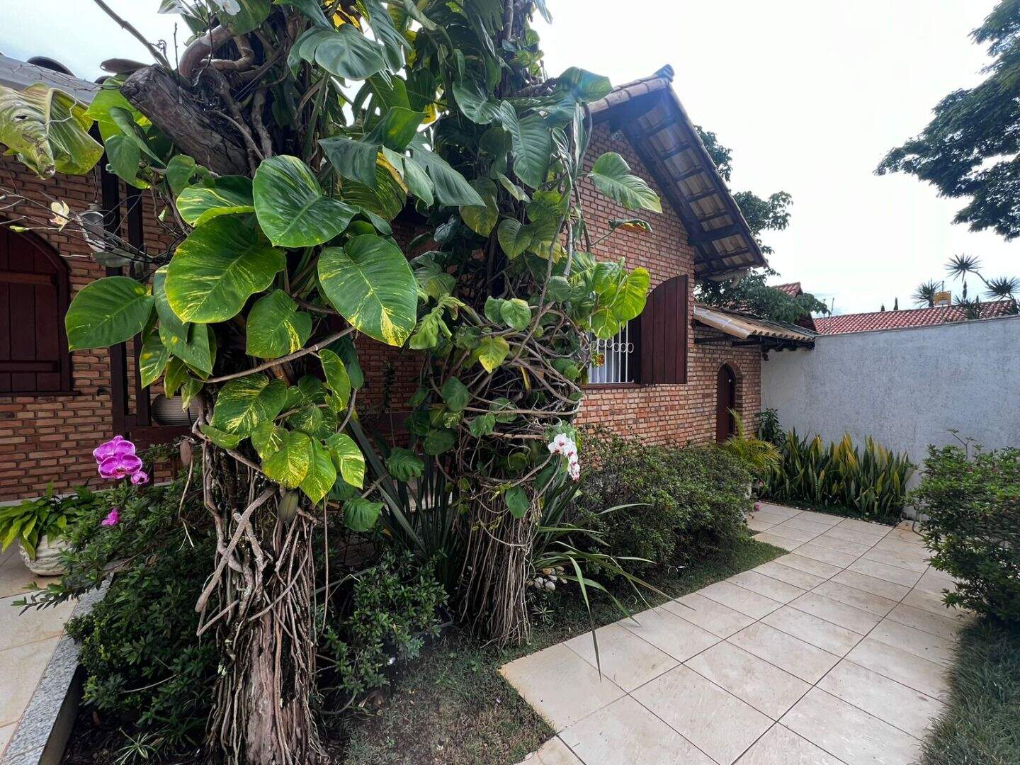 Casa à venda no Belvedere: 