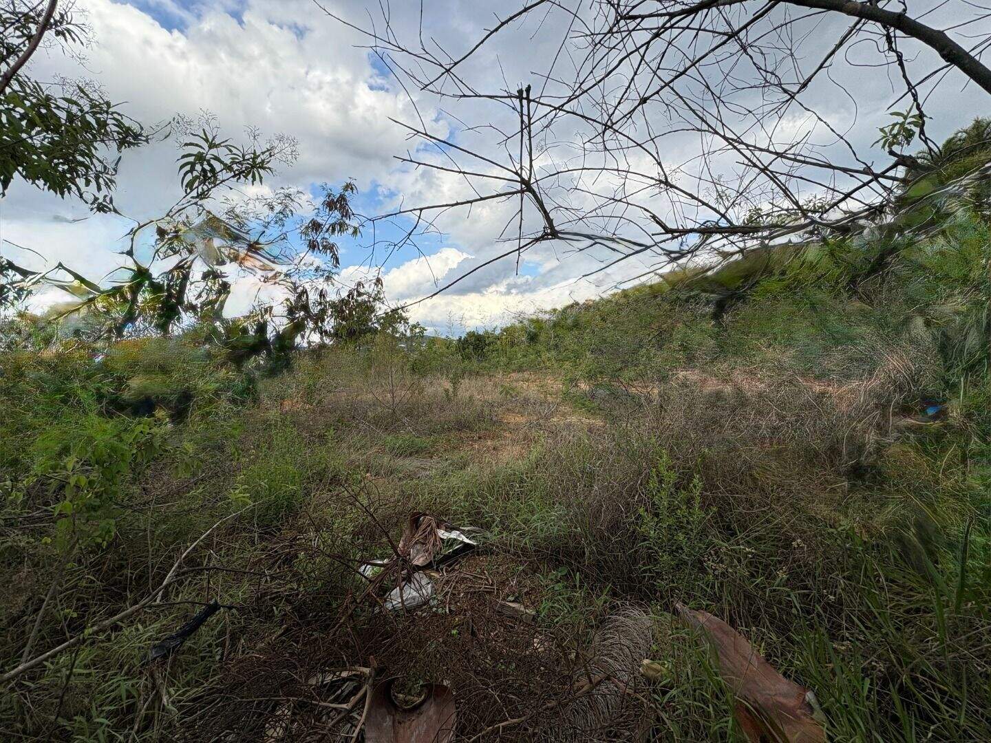 Terreno à venda no A Definir Em Campo: 