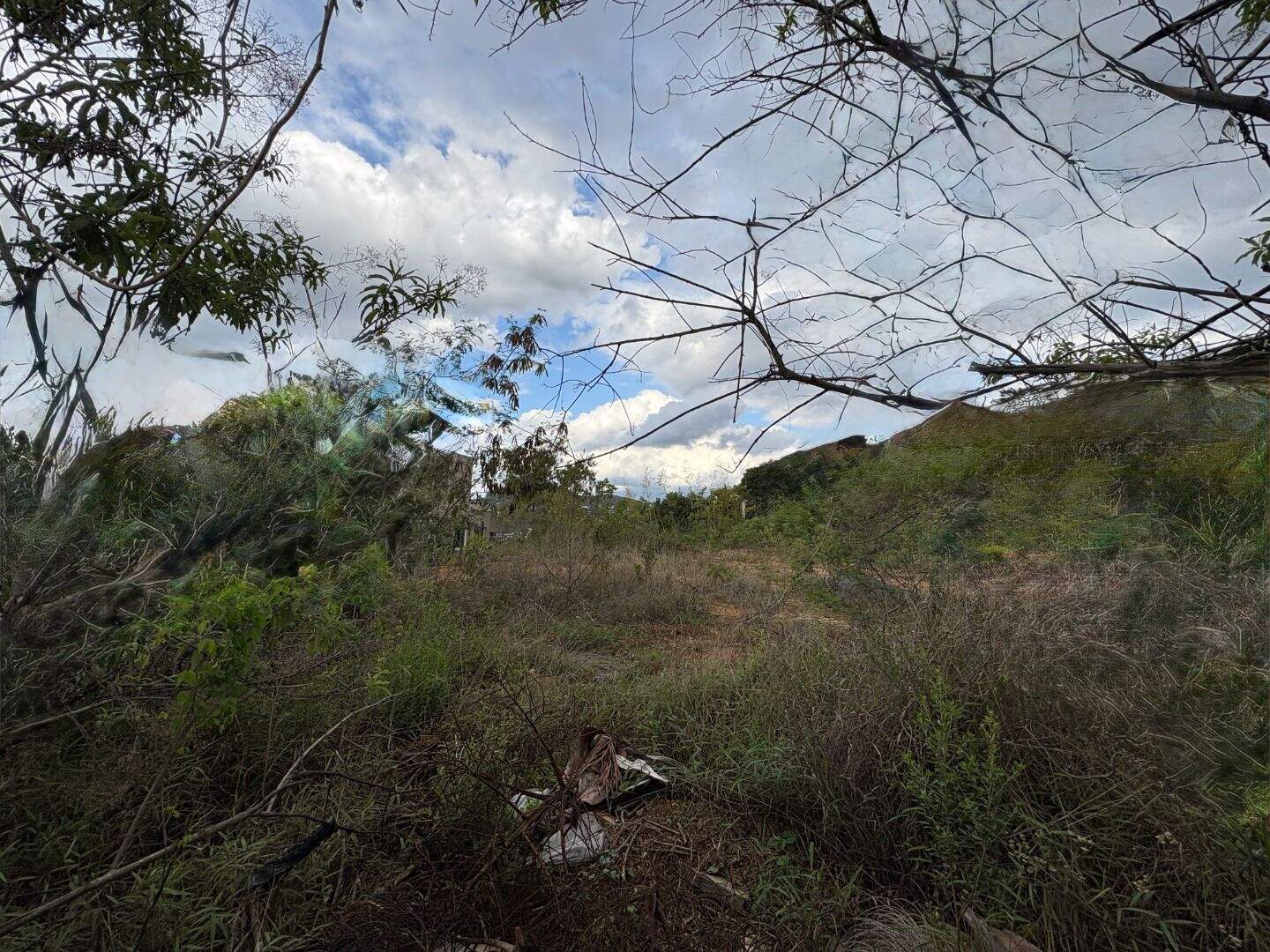 Terreno à venda no A Definir Em Campo: 