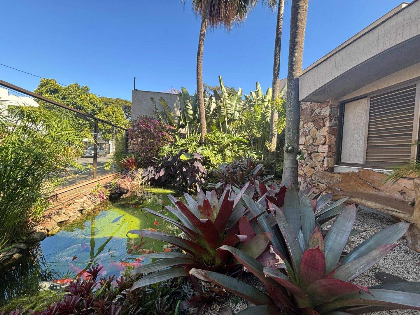 Casa para aluguel no Belvedere: 