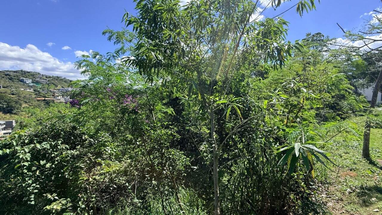 Terreno à venda no Vale dos Cristais: 