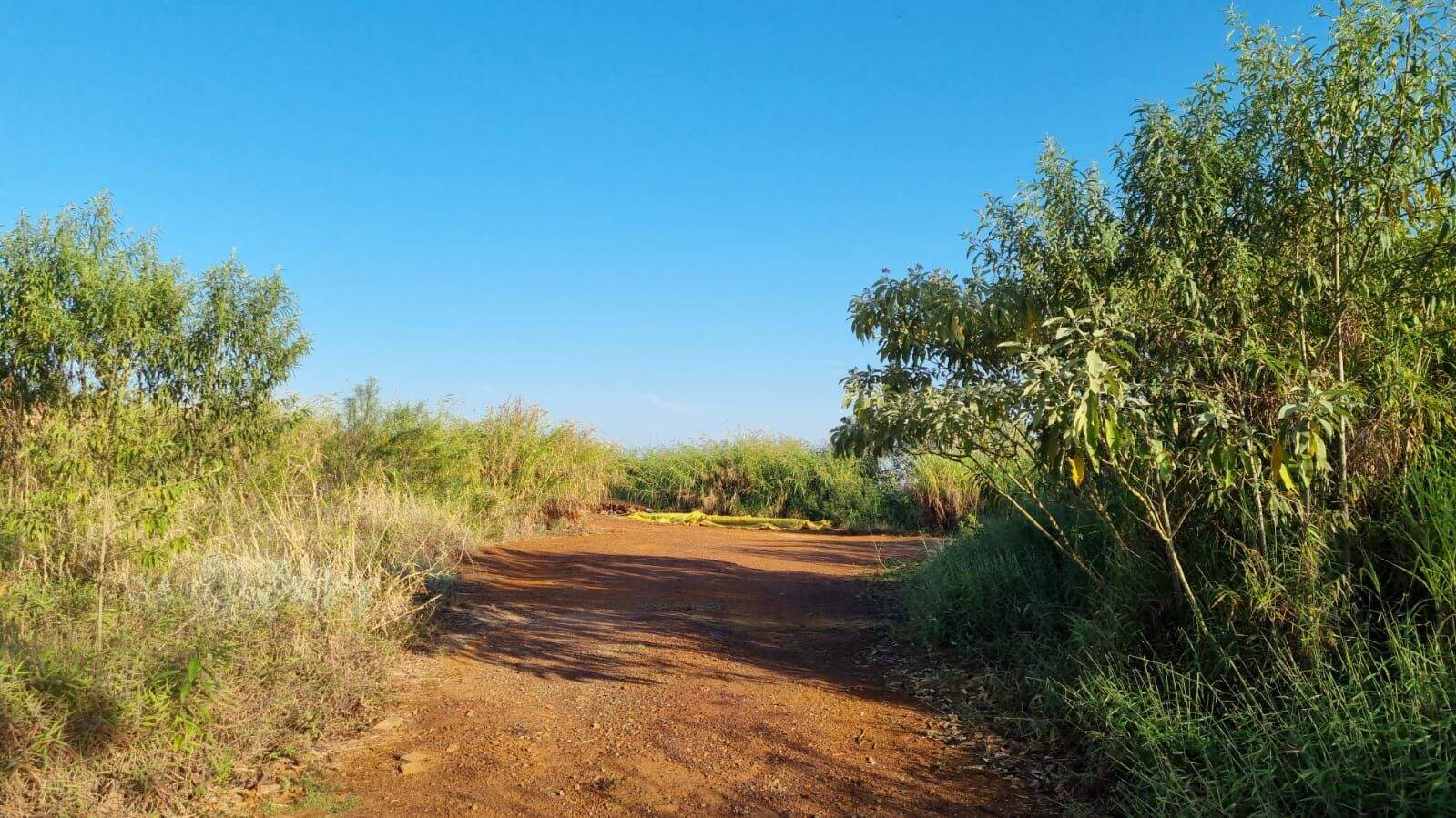 Terreno à venda no Condomínio Serra dos Manacas: 