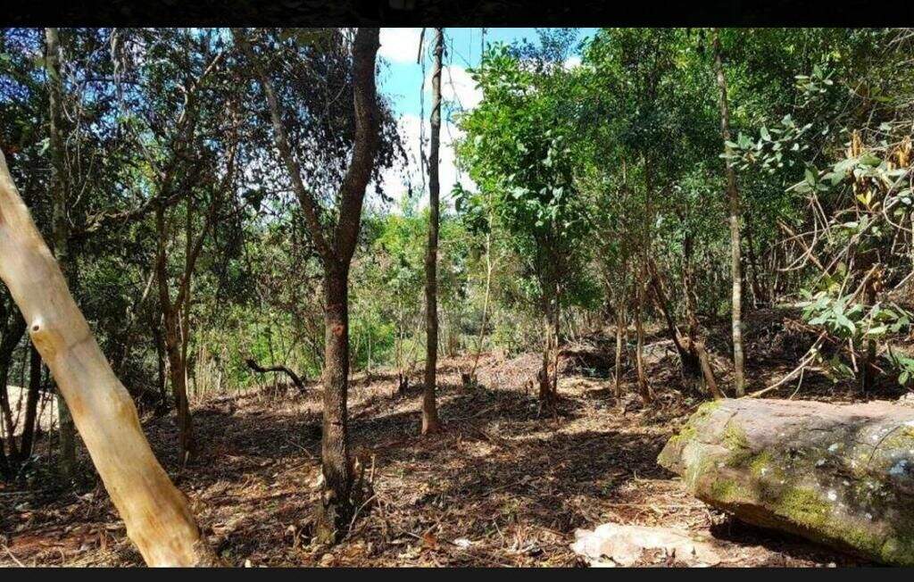 Terreno à venda no Vila Alpina: 